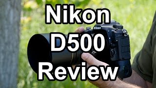 Nikon D500 Review A Wildlife Photographers Perspective [upl. by Akkin]