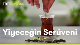 Yiyeceğin Serüveni  Çay  TRT Belgesel [upl. by Ayom923]