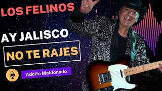 Los Felinos Ay Jalisco ft Adolfo Maldonado [upl. by Gonzalo110]