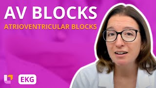 Atrioventricular Blocks AV Blocks  EKG Interpretation  LevelUpRN [upl. by Casimir69]