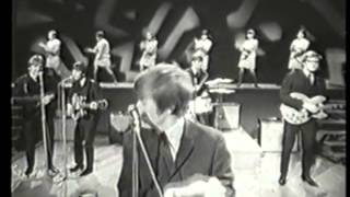 Hermans Hermits Im Into Something Good [upl. by Gollin426]