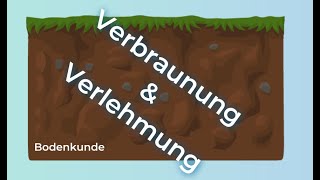 Bodenkunde verstehen – Verlehmung und Verbraunung [upl. by Vevay]