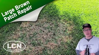 How To Fix Brown Patch amp Large Patch In St Augustine Zoysia and Tall Fescue with The Lawn Care Nut [upl. by Yerd]