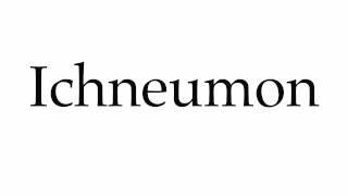 How to Pronounce Ichneumon [upl. by Aedrahs577]