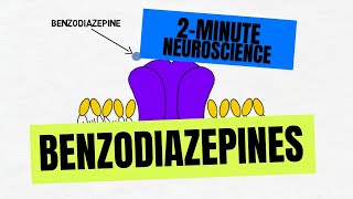 2Minute Neuroscience Benzodiazepines [upl. by Alex]