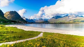 Uplifting Music  light positive happy music Gullrosøya  1 hour [upl. by Eitsym]