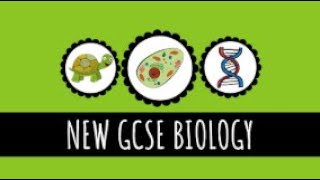 Pathogens and Disease  91 GCSE Biology [upl. by Aran]