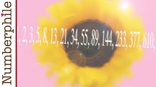 Sunflowers and Fibonacci  Numberphile [upl. by Eelirak766]