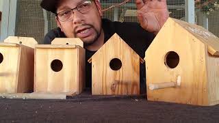 Nest Boxes For Gouldian Finches [upl. by Hallee41]