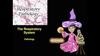 The Respiratory System Pathology [upl. by Helbonnah]