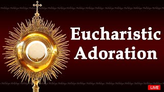 Perpetual Adoration Live  Eucharistic Adoration [upl. by Edylc]