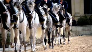 Cómo bailan los caballos andaluces [upl. by Mendy]