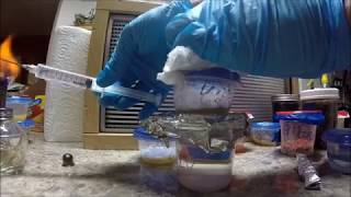 How toTurning 1 Spore Syringe into 10 Pure Liquid Culture [upl. by Marx853]