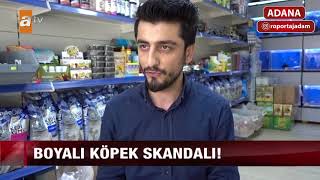 Köpeğin Dip Boyasını Yapan Sayko Petshop  Röportaj Adam 8 [upl. by Arrotal144]