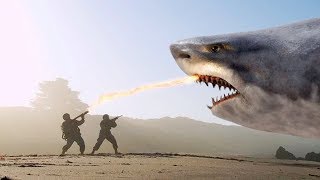 THE 10 BIGGEST SHARKS Ever [upl. by Enneira247]