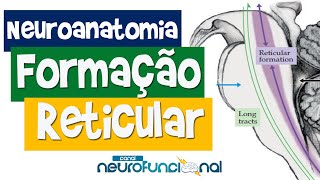 NEUROANATOMIA Formação Reticular e Coma [upl. by Anahtor]