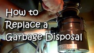 How to Replace a Garbage Disposal [upl. by Usanis]