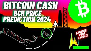 Bitcoin Cash BCH Crypto Coin Update [upl. by Kenrick]