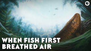 When Fish First Breathed Air [upl. by Anidan]