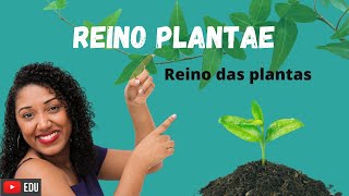 Aula Reino das Plantas Plantae [upl. by Llewsor]