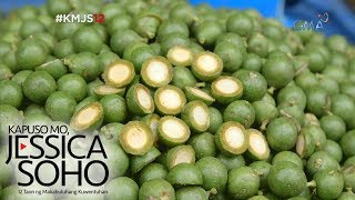 Kapuso Mo Jessica Soho Native fruits only in the Philippines [upl. by Kcirdnek]