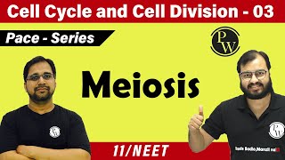 Cell cycle and cell division 03  Meiosis  Class 11  CBSE  NCERT  NEET [upl. by Patrica91]