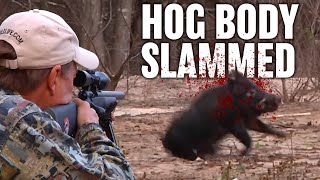 Texas Hog Hunting with Suppressed Rifle  Horsepower [upl. by Coughlin]