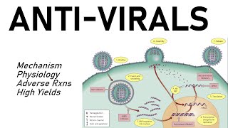 Antiviral Pharmacology [upl. by Elhsa]