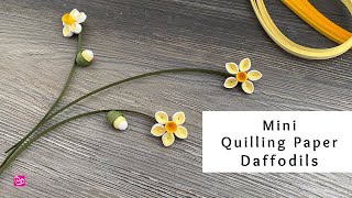 How to Make Mini Quilling Paper Daffodils  Spring Paper Flowers  Quilling for Beginners [upl. by Aneet967]