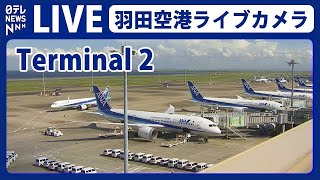 【ライブカメラ】羽田空港 quotT2quot HANEDATokyo International Airport（日テレNEWS LIVE） [upl. by Moorish]