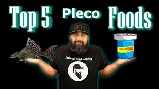 My Top 5 Favorite Pleco Foods [upl. by Akinajnat]