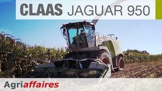 Ensileuse CLAAS Jaguar 950 [upl. by Luahs318]