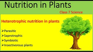 Nutrition in plants  Mode of nutrition  Heterotrophic Nutrition  Class 7 Science  2020 [upl. by Tireb]