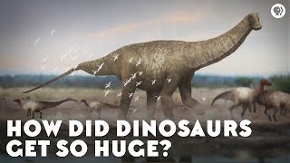 How Did Dinosaurs Get So Huge [upl. by Khanna]