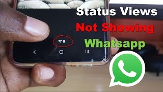 Status Views Not Showing Whatsapp Fix [upl. by Esinaej]