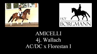 AMICELLI  Hof Borgmann  Juni 2022 [upl. by Neirod]