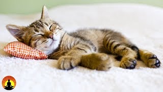 8 Hour Super Sleep Music Relaxing Music Meditation Music Sleeping Music Relaxation Music ☯2479 [upl. by Noelani]