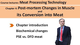 Increasing Muscle Mass myofibrillar hypertrophy – Dr Berg [upl. by Belia]