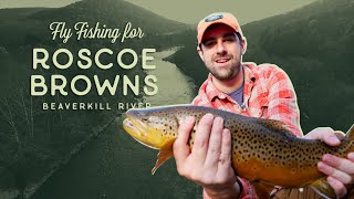 Fly Fishing For Roscoe Browns In The Beaverkill River  Higher Elevations Adventures [upl. by Horn]