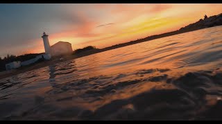 Bibione differente per natura  Official Video [upl. by Yaral]