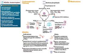 NSAIDS amp ACETAMINOPHEN [upl. by Minor]