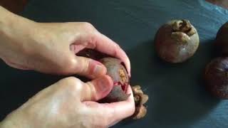 How to open a mangosteen [upl. by Brause876]