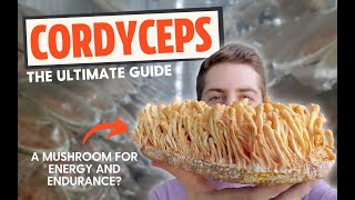 Zombie Fungus or Energy Mushroom The Ultimate Guide To Cordyceps [upl. by Cathryn]