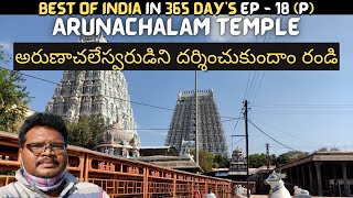 Arunachalam temple full tour in telugu  Tiruvannamalai  Arunachalam temple information  Tamilnadu [upl. by Rempe]