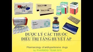 Pharmog SS1  Tập 11  Dược lý về thuốc điều trị tăng huyết áp [upl. by Teerell]