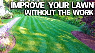 What HUMIC ACID can do for your LAWN [upl. by Lugar217]