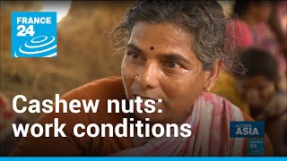 Cashew nuts Painful working conditions behind popular snack  Access Asia • FRANCE 24 English [upl. by Assillam]