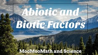 Difference between Abiotic and Biotic Factors [upl. by Annohs]