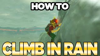 Infinite Climb Mountains In Rain Exploit in Breath of the Wild  Austin John Plays [upl. by Ellirpa748]