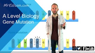 Gene mutation  A Level Biology [upl. by Cedell]